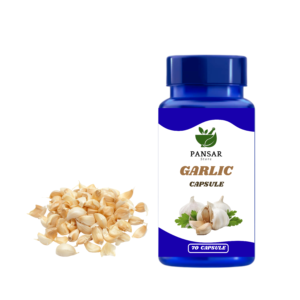 Garlic Powder Capsule