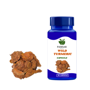 Wild Turmeric Capsule